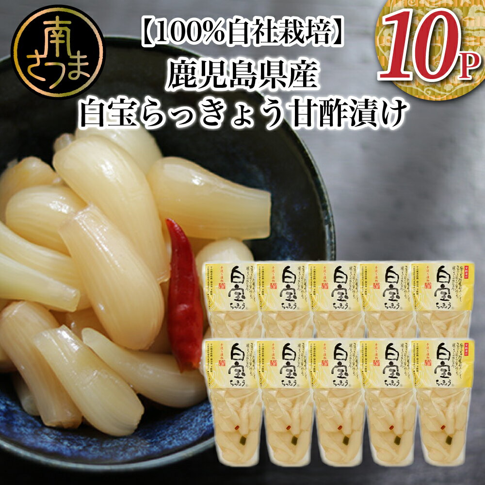 【ふるさと納税】 【鹿児島県産】白宝らっきょう（90g×10P） 手作り漬物 らっきょう お取り寄せ ギフト 贈答 常温保存 南さつま市 送料無料【2019年度 ふるさと納税 寄附額 鹿児島県1位 南さつま市】