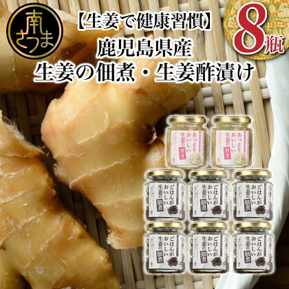 【健康習慣】生姜の佃煮・生姜酢漬け 2種 計8個 佃煮 つくだ煮 セット 珍味 惣菜 生姜 しょうが 鹿児島 エスランドル 南さつま市