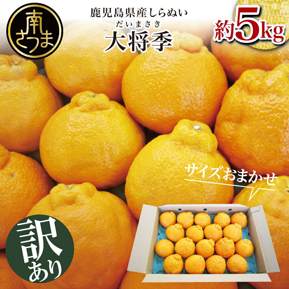 【ふるさと納税】【訳あり】◆12月中お届け◆ 鹿児島県産 不知火「大将季」約5kg フルーツ 柑橘 みかん しらぬい 旬 南さつま市 送料無料