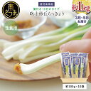 旬野菜！鹿児島県産 生食用 吹上砂丘らっきょう 約1kg（約100g×10袋）ラッキョウ 鹿児島 エスランドル 旬 南さつま市 送料無料