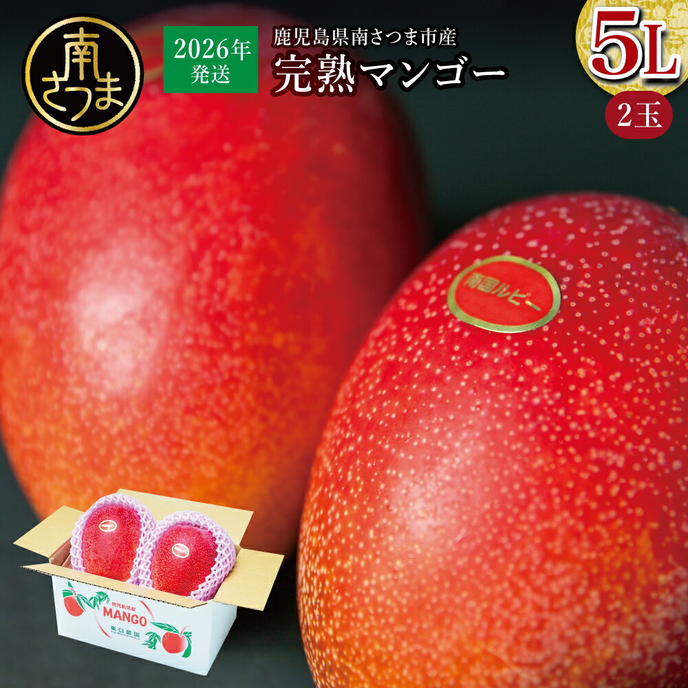 鹿児島県産 完熟マンゴー 5L 2玉 [2026年 先行受付]数量・期間限定 特大 大きいサイズ 大きめ 贈答品用 ギフト オリジナル白箱入り アップルマンゴー アーウィン種 果物 くだもの フルーツ 国産 鹿児島県南さつま市金峰町産 東口農園 送料無料
