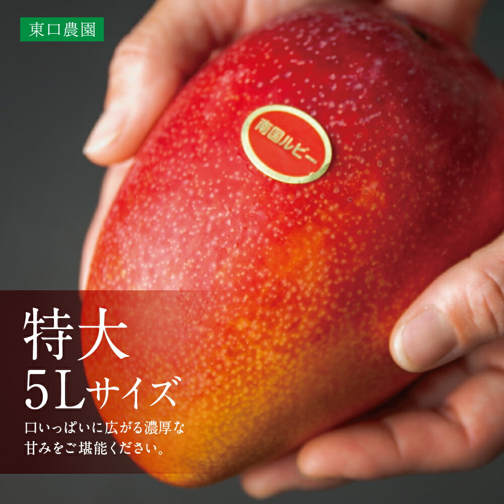 【ふるさと納税】 鹿児島県産 完熟マンゴー 5L 2玉 ＜2026年 先行受付＞数量・期間限定 特大 大きいサイズ 大きめ 贈答品用 ギフト オリジナル白箱入り アップルマンゴー アーウィン種 果物 くだもの フルーツ 国産 鹿児島県南さつま市金峰町産 東口農園 送料無料