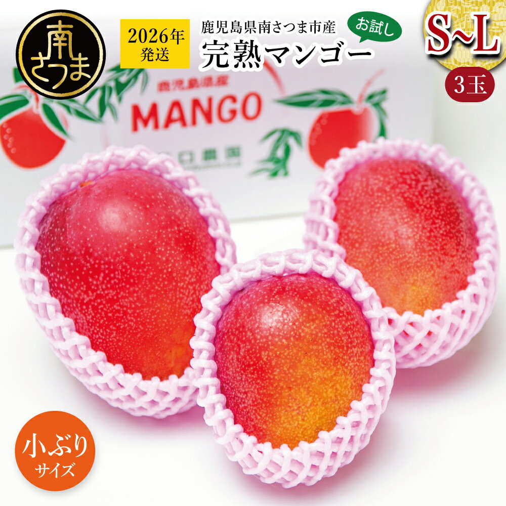鹿児島県産 完熟マンゴー S〜Lサイズ 3玉 [2026年 先行受付] 数量・期間限定 小ぶり 小さいサイズ 小さめ 贈答品用 ギフト オリジナル白箱入り アップルマンゴー アーウィン種 果物 くだもの フルーツ 国産 鹿児島県南さつま市金峰町産 東口農園 送料無料