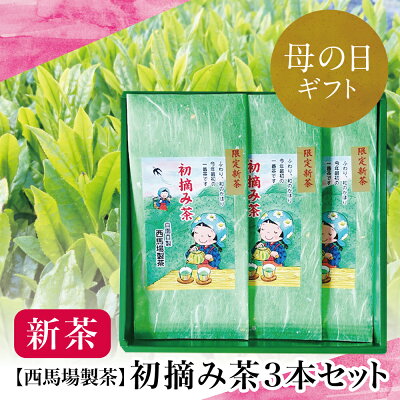 【ふるさと納税】【母の日ギフト】【新茶】西馬場製茶 初摘み茶3本セット 鹿児島県産 かごしま お茶 日本茶 緑茶 茶葉 西馬場製茶 南さつま市 贈り物 ギフト 贈答用 送料無料