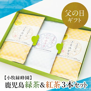 【ふるさと納税】【父の日ギフト】【日本茶AWARD受賞】鹿児島緑茶と紅茶のセット（計250g） お茶 緑茶 紅茶 国産 小牧緑峰園 南さつま市 贈り物 ギフト 贈答用 送料無料