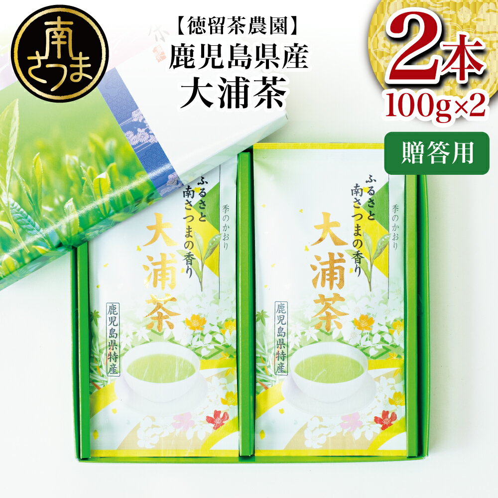 18位! 口コミ数「0件」評価「0」【贈答用】鹿児島県産緑茶 大浦茶 一番茶2本セット（100g×2） ◆2024年産新茶 鹿児島県産 かごしま お茶 日本茶 緑茶 茶葉 南さ･･･ 