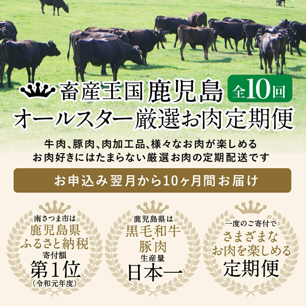 【ふるさと納税】定期便 全10回 畜産王国・南さつま市のオールスター厳選 お肉定期便 鹿児島県産 黒毛和牛 豚肉 黒豚 すき焼き しゃぶしゃぶ ステーキ サーロイン ハム 焼肉 しゃぶしゃぶ 赤身 とんかつ 豚バラスライス 定期配送 お肉 定期便 送料無料