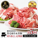 【ふるさと納税】【モリモリ定期便】鹿児島県産黒毛和牛&黒豚 切落し定期便(全5回)-(牛丼/肉じゃが/カレー/炒め物)国産 お肉 定期便 冷凍 小分け 和牛もも...