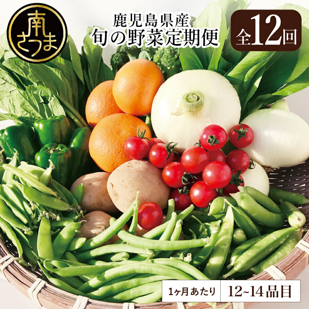 17位! 口コミ数「0件」評価「0」【かごしま野菜の定期便（全12回）】旬鮮野菜と果物のセット（12〜14品目） 野菜 お野菜 九州 野菜BOX 旬 フルーツ セット 詰合せ ･･･ 