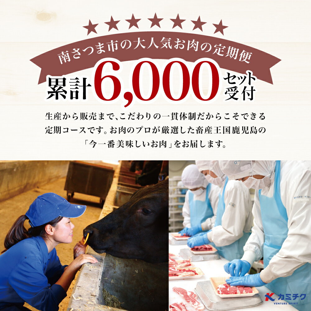 【ふるさと納税】 定期便 6回 情熱牧場 鹿児島県産 お肉の定期便 トライアルコース - お肉 ステーキ すき焼き しゃぶしゃぶ グルメ お取り寄せ 国産 A5等級 黒毛和牛 牛肉 豚肉 焼肉 定期便 送料無料 高級 1年間【2019年度 ふるさと納税 寄附額 鹿児島県1位 南さつま市】