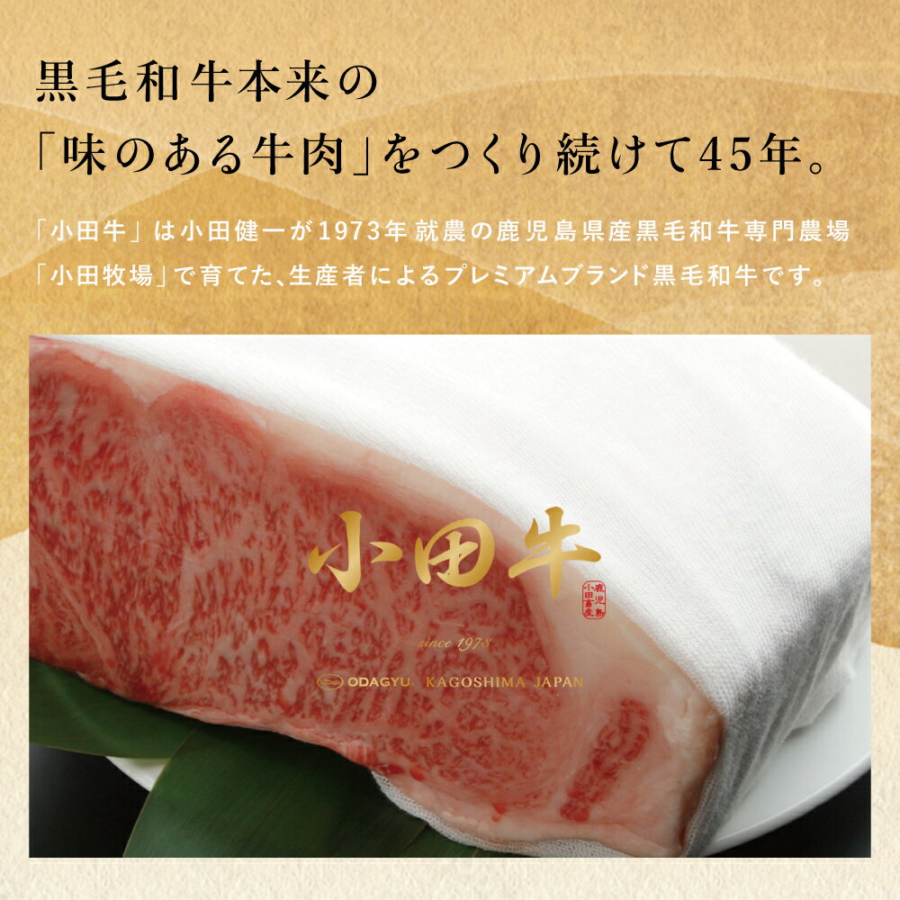 【ふるさと納税】【全3回】プレミアムブランド「小田牛」定期便［加工品づくし］ 鹿児島県産 黒毛和牛 鹿児島黒牛 お肉 ハンバーグ コンビーフ ローストビーフ 餃子 焼売 総菜 レトルト 冷凍 小田畜産 南さつま市 送料無料