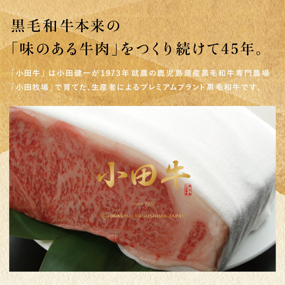 【ふるさと納税】【全12回】プレミアムブランド「小田牛」定期便［～雅～］ 鹿児島県産 黒毛和牛 ステーキ すき焼き 焼肉 焼き肉 BBQ ハンバーグ ローストビーフ 餃子 ぎょうざ 焼売 しゅうまい レトルト カレー パスタソース 常温 冷凍 小田畜産 南さつま市 送料無料