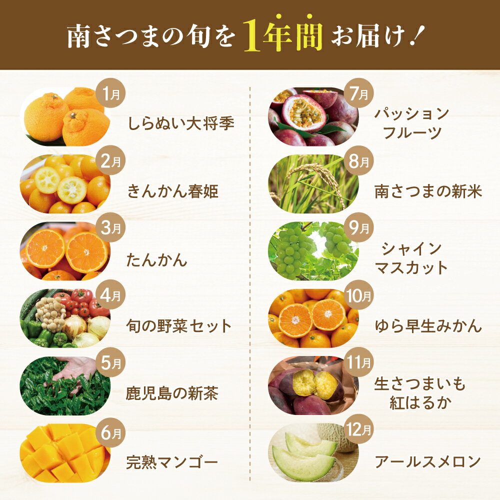 【ふるさと納税】［定期便 全12回］旬のフルーツ・野菜定期便 旬が届くお楽しみ！鹿児島県産 果物 くだもの 柑橘/不知火/みかん/金柑/たんかん/お茶/新茶/米/コシヒカリ/ぶどう/シャインマスカット/紅はるか/完熟マンゴー/アールスメロン/特産品 定期お届け 1年間 南さつま市