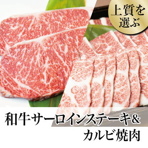 【ふるさと納税】鹿児島県産 黒毛和牛 サーロイン ステーキ 320g & カルビ 焼肉 300g お肉 牛肉 バラ バーベキュー BBQ ステーキ セット 食べ比べ 冷凍 スターゼン 南さつま市 国産 送料無料