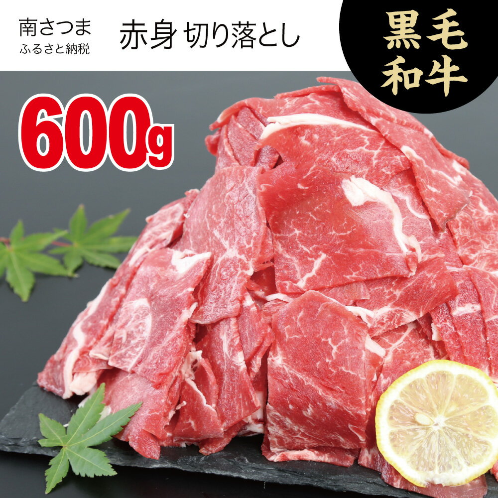ふるさと納税 牛肉 切り落とし 鹿児島県産 ふるさと納税 黒毛和牛 その他 黒毛和牛 赤身 切り落とし 精肉 肉加工品 600g 鹿児島県南さつま市鹿児島県産黒毛和牛を 600g食品 切落しにして600ｇ 赤身