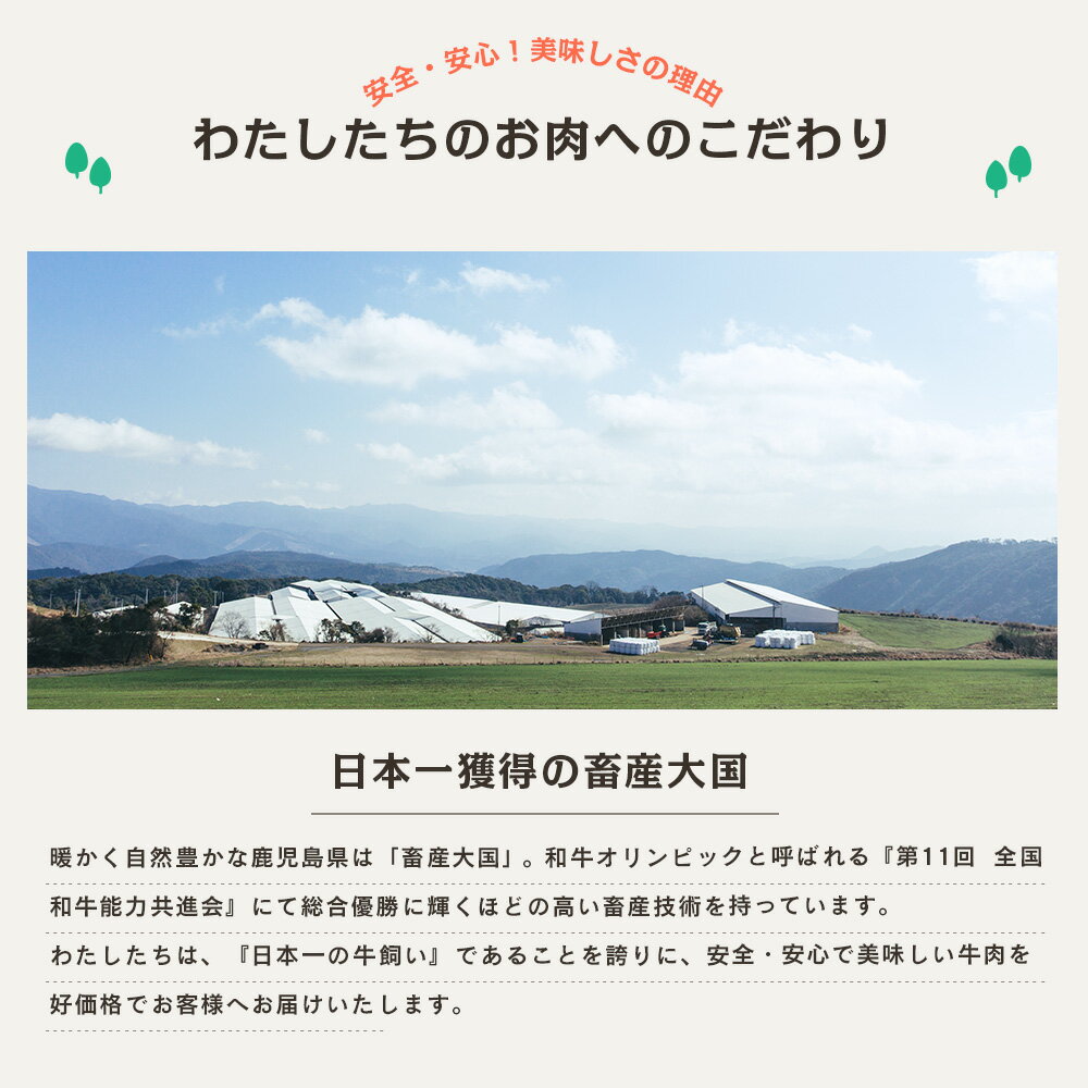 サーロイン】 情熱牧場 鹿児島県産お肉の定期便 トライアルコース(全6回) お肉 ステーキ すき焼き しゃぶしゃぶ グルメ お取り寄せ 国産 A5等級 黒毛和牛 牛肉 豚肉 焼肉 定期便 送料無料:鹿児島県南さ しコースで - shineray.com.br サーロイン】 情熱牧場 鹿児島県産お肉の定期便 トライアルコース(全6回) お肉 ステーキ すき焼き しゃぶしゃぶ グルメ お取り寄せ 国産 A5等級 黒毛和牛 牛肉 豚肉 焼肉 定期便 送料無料:鹿児島県南さ しコースで - shineray.com.br