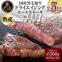 ドライエイジング 国産黒毛和牛 ロースステーキ （熟成牛ロースステーキ約500g×5回）約170g×3枚 牛肉 お肉 冷凍 焼肉 バーベキュー BBQ スターゼンミートプロセッサー 株式会社 南さつま市 送料無料