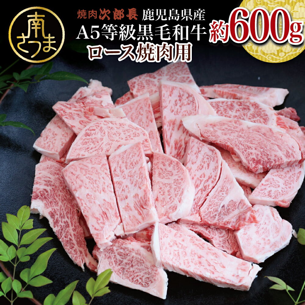 [鹿児島県産]黒毛和牛専門店 焼肉次郎長 A5等級 焼肉用 ロース 約600g 牛肉 お肉 BBQ 焼肉 南さつま市 贈り物 ギフト 贈答 送料無料