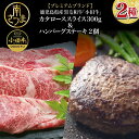 鹿児島県産黒毛和牛「小田牛」 カタロースすき焼用 300g ＆ ハンバーグステーキ 2個 和牛日本一 すきやき 焼肉 総菜 黒毛和牛 小田畜産 ギフト 贈答 冷凍 南さつま市 送料無料