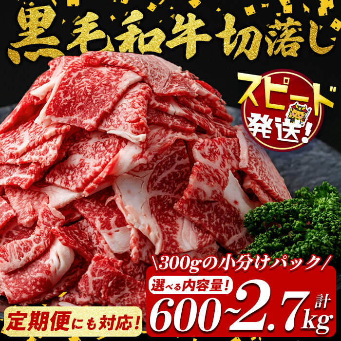 [10営業日以内に発送][内容量が選べる]国産 黒毛和牛 切り落とし(計600g〜2.7kg 1pあたり300g) 牛肉 牛 切り落とし 切落し 小間切れ 小分け 真空パック 牛丼 カレー 肉じゃが 真空パック 黒毛和牛 家計応援 定期便 すぐ届く 短納期 [サンキョーミート]
