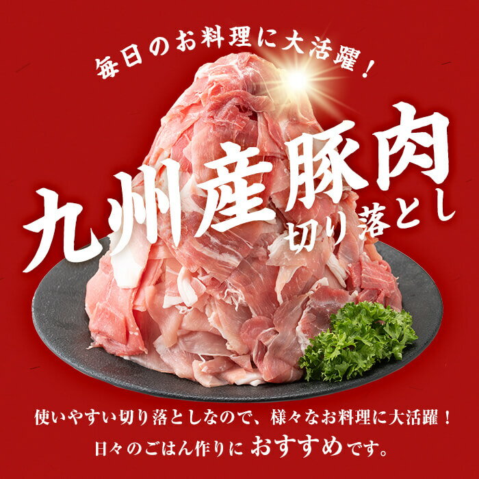 【ふるさと納税】【工場直送 業務用】九州産豚切り落とし＜計9kg(300g×30P)＞ 肉 国産 豚肉 切り落とし 国産 九州産 小分け 真空パック しゃぶしゃぶ【サンキョーミート】c0-137