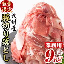 【ふるさと納税】【工場直送 業務用】九州産豚切り落とし<計9kg(300g×30P)> 肉 国産 豚肉 切り落とし 国産 九州産 小分け 真空パック しゃぶしゃぶ【サンキョーミート】c0-137