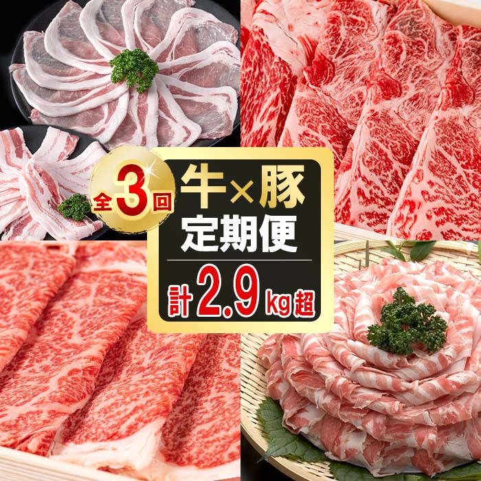 [定期便全3回]贅沢!国産黒毛和牛・豚肉定期便(3ヶ月連続・総量2.9kg以上) 黒毛和牛 国産牛 九州産 黒豚 豚 豚肉 肉 牛 牛肉 国産 しゃぶしゃぶ すき焼き 生姜焼き 豚バラ バラ ロース 人気 A4等級 小分け 真空包装[サンキョーミート]t