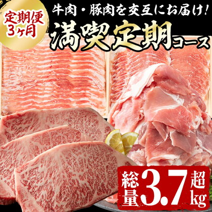 【定期便全3回】黒毛和牛・黒豚をお届け!<志布志黒毛和牛・黒豚 満喫定期コース>計3.7kg超!鹿児島が誇る黒毛和牛と黒豚をお試しできる定期便♪黒豚はしゃぶしゃぶ・炒め物に!人気の和牛のサーロインステーキも【サンキョーミート】 t005-005
