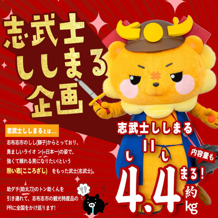 【ふるさと納税】【定期便全4回】ししまる牛・豚定期便B(4ヶ月連続・約4.4kg) 黒毛和牛 国産牛 九州産 豚 豚肉 肉 牛肉 国産 4等級 小分け 真空包装 冷凍【サンキョーミート】t0050-021