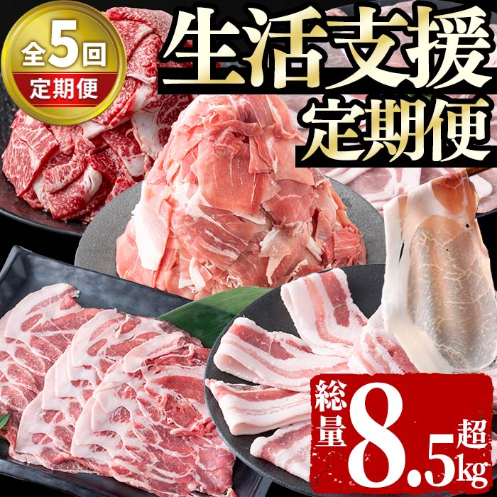 [定期便全5回]生活支援定期便(5ヶ月連続・総量8.5kg以上) 国産牛 九州産 豚 豚肉 肉 牛肉 国産 しゃぶしゃぶ 豚バラ 黒毛和牛 切り落し 大容量 人気 小分け 真空包装[サンキョーミート]t