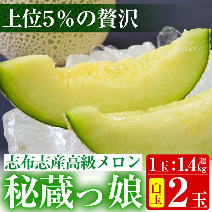 楽天鹿児島県志布志市【ふるさと納税】【冬限定メロン】＜R6年11月下旬～12月末頃発送予定＞極上！鹿児島県志布志産の高級メロン『秘蔵っ娘』（白玉2個・各1.4kg以上）国産の安心安全、美味しい高級フルーツのマスクメロン【ファームランド牧】b5-037 b5-069