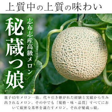 【ふるさと納税】＜予約・2020年3月下旬頃〜4月末の間に発送予定＞極上！鹿児島県志布志産の高級メロン『秘蔵っ娘』(白玉1個・1.4kg以上)国産の安心安全、美味しい高級フルーツのマスクメロン【ファームランド牧】a5-059