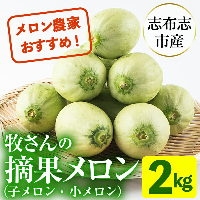 [先行予約受付中!R6年5月下旬〜6月末頃配送予定]知っている人は知っている!秘蔵っ娘メロンの副産物「摘果メロン」2kg!(子メロン・小メロン)お漬物・刺身のツマ・サラダなど活用方法イロイロ♪[ファームランド牧]p8-115