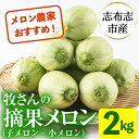 【ふるさと納税】＜先行予約受付中！R6年5月下旬～6月末頃配送予定＞知っている人は知っている！秘蔵っ娘メロンの副産物「摘果メロン」2kg！（子メロン・小メロン）お漬物・刺身のツマ・サラダなど活用方法イロイロ♪【ファームランド牧】p8-115