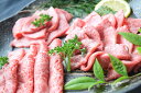 【ふるさと納税】☆志布志特選焼肉セット☆ B-060