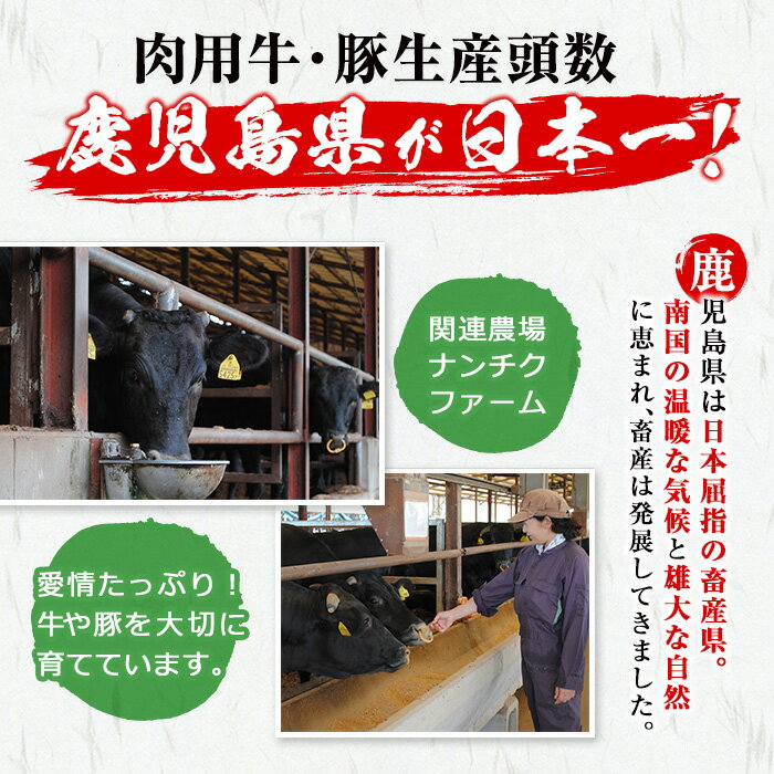 【ふるさと納税】豚の飼養頭数日本一！鹿児島県産黒豚バラブロック計2kg(約500g×4本)角煮、チャーシュー、手作りベーコンなどに最適な国産豚肉の塊肉を小分けパックでお届け【ナンチク】b0-088