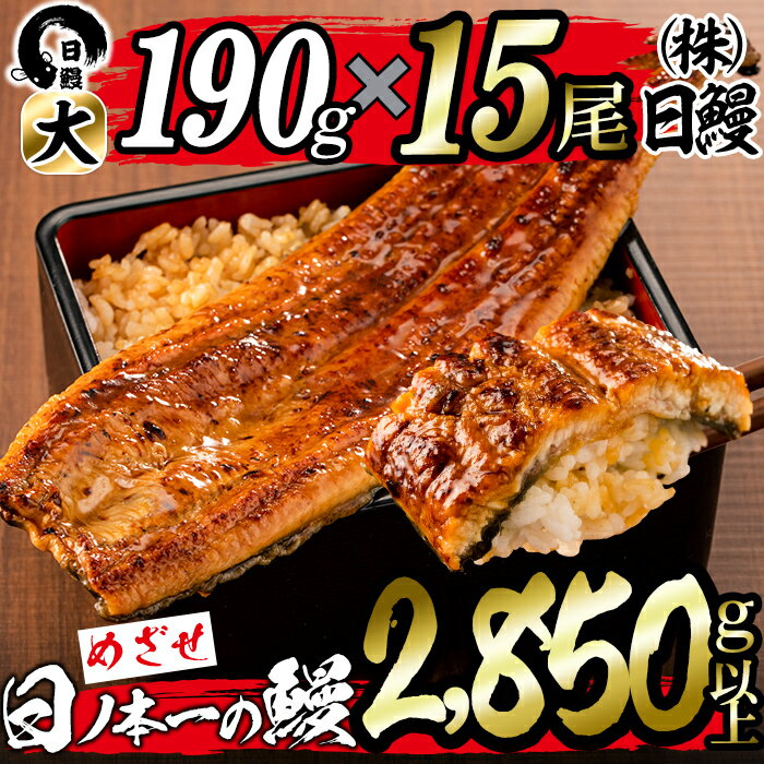 16位! 口コミ数「2件」評価「4.5」うなぎ生産量日本一の鹿児島県産！日ノ本一の鰻の蒲焼き＜大＞計15尾セット(計2,850g以上)たれ、山椒付き！「酸素たっぷり贅沢水」で育った･･･ 