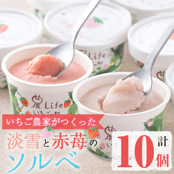 【ふるさと納税】いちご農家がつくった淡雪と赤苺のソルベ 計10個(2種・各5個入) 鹿児島県志布志市発...