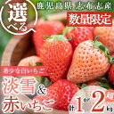 【ふるさと納税】【セット内容と内容量が選べる！】【数量限定】鹿児島県産いちご！淡雪・赤いちご（計1～2kg・約270g×4P～8P）選べる 白いちご 淡雪 赤いちご いちご 苺 イチゴ セット 食べ比べ 1kg 2kg 志布志市 数量限定【農life】