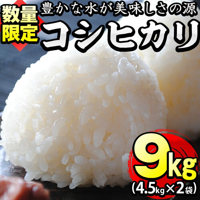 1位! 口コミ数「13件」評価「4.38」【数量限定】鹿児島県産コシヒカリ合計9kg(4.5kg×2袋)川崎さん自慢のおいしいお米(白米)をお届け！【川崎農産】a3-006-R5