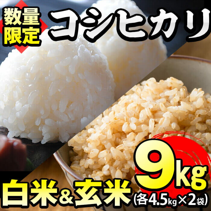 【ふるさと納税】【数量限定】白米＆玄米 鹿児島県産コシヒカリ 計9kg(各4.5kg×2袋)米の匠・川崎さん自慢のお米！【川崎農産】a3-057-R5