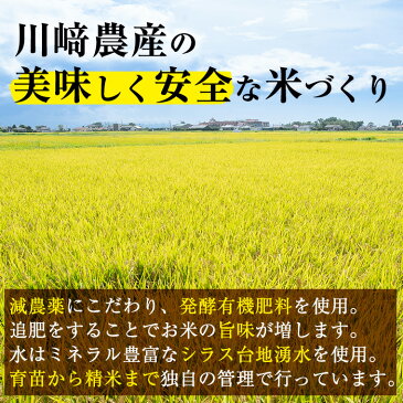 【ふるさと納税】<30年産 新米 定期便!>鹿児島県産なつほのか合計45kg(4.5kg×2袋×5回)川崎さん自慢のおいしいお米(白米)をお届け!【川崎農産】 E-517