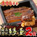 ＜数量限定＞鹿児島県産うなぎ使用！チンする♪霧島湧水鰻重セット 2食入 620g（310g×2）うなぎ 鰻 ウナギ 国産 九州産 鹿児島 蒲焼き かばやき 冷凍 うな重 タレ 山椒 ご飯a0-154