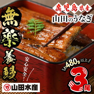 【ふるさと納税】【無薬養鰻】 鹿児島産 山田のうなぎ <計480g以上>(160g以上×3尾) うなぎ 鰻 ウナギ 無薬 養鰻 無投薬 3尾 国産 九州産 蒲焼き かばやき 冷凍 うな重 ひつまぶし タレ 山椒 ランキング 人気【山田水産】a8-074