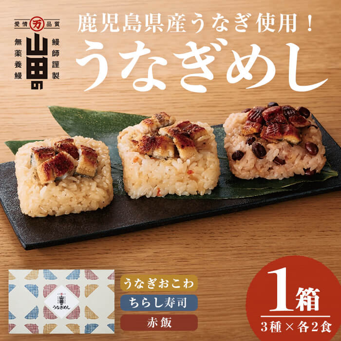 鹿児島県産うなぎ使用!山田のうなぎめし1箱(6食入) うなぎ 鰻 国産 鹿児島 蒲焼き かばやき タレ ご飯 おこわ うなぎめし[山田水産]