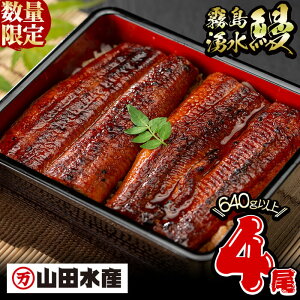 【ふるさと納税】【高評価★4.78】鹿児島県産 山田水産の霧島湧水鰻(160g×4尾・計640g) うなぎ 鰻 ウナギ 4尾 国産 九州産 蒲焼き かばやき 冷凍 うな重 ひつまぶし タレ 山椒 ランキング 人気【山田水産】b5-178