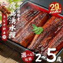 【ふるさと納税】【志布志市制20周年記念】【内容量が選べる】【数量限定】鹿児島県産 山田水産の霧島湧水鰻<2尾>or<5尾+うなぎ肝串>(1尾あたり160g以上) うなぎ 鰻 ウナギ 2尾 5尾 国産 蒲焼き かばやき 冷凍 うな重 ランキング 人気【山田水産】