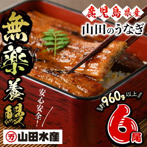 【ふるさと納税】【無薬養鰻】 鹿児島産 山田のうなぎ <計960g以上> (160g以上×6尾) うなぎ 鰻 ウナギ 無薬 養鰻 無投薬 6尾 国産 九州産 蒲焼き かばやき 冷凍 うな重 ひつまぶし タレ 山椒【山田水産】 c6-079
