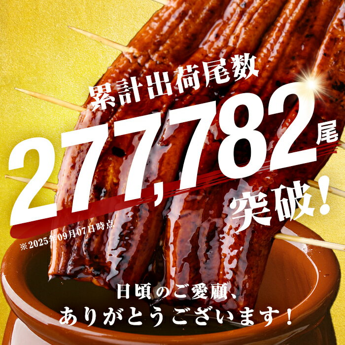 鹿児島県志布志市の画像3