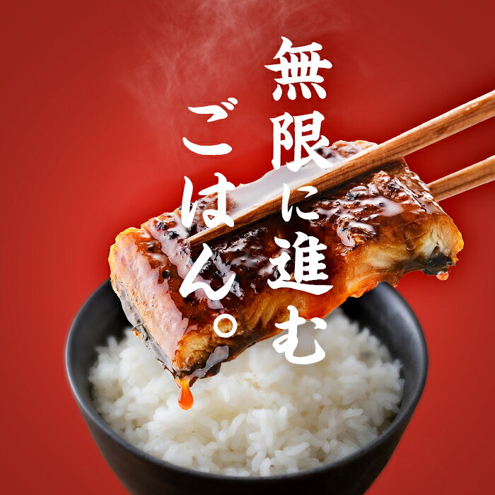 鹿児島県志布志市の画像2